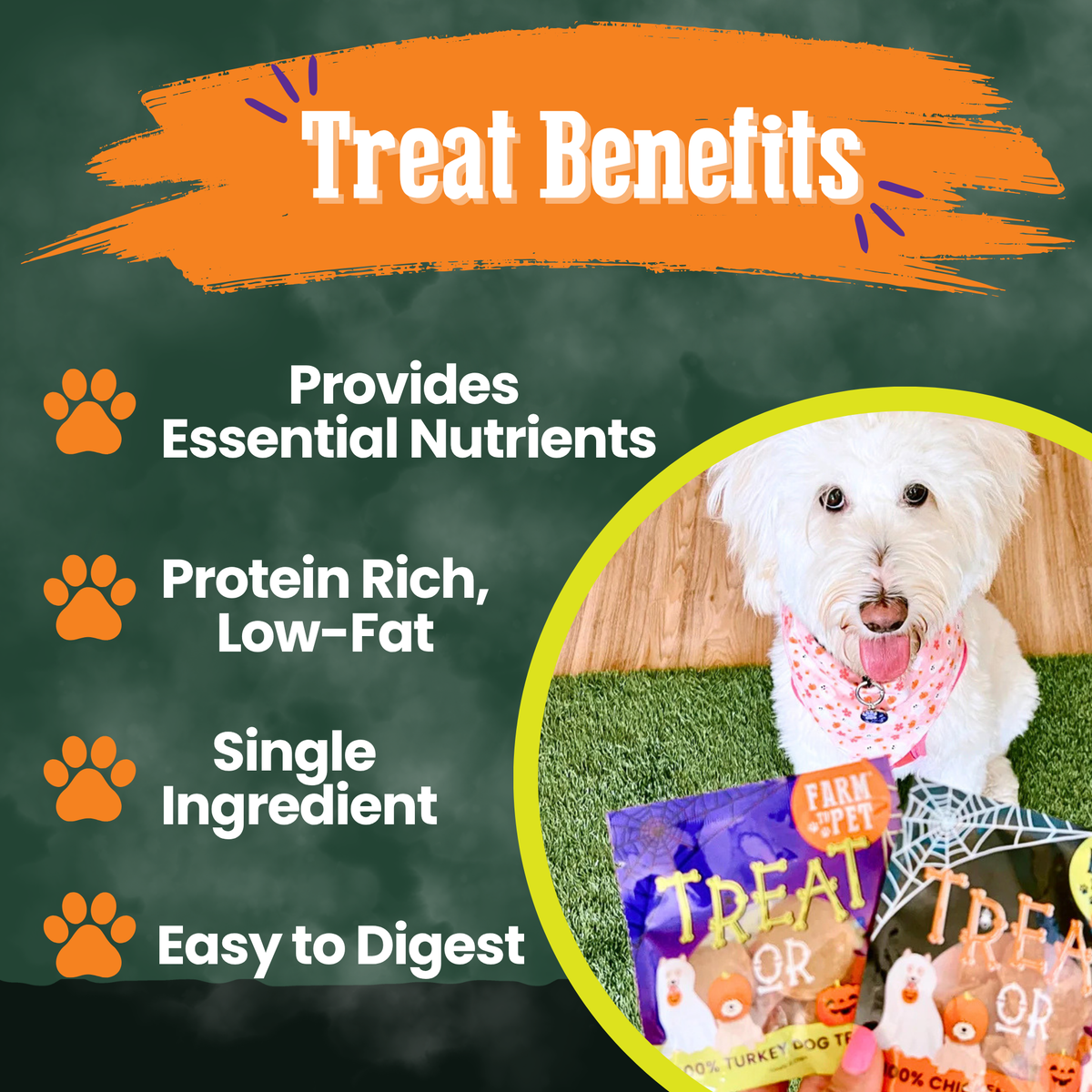 Halloween Dog Treat Snack Pack Bundle – detail