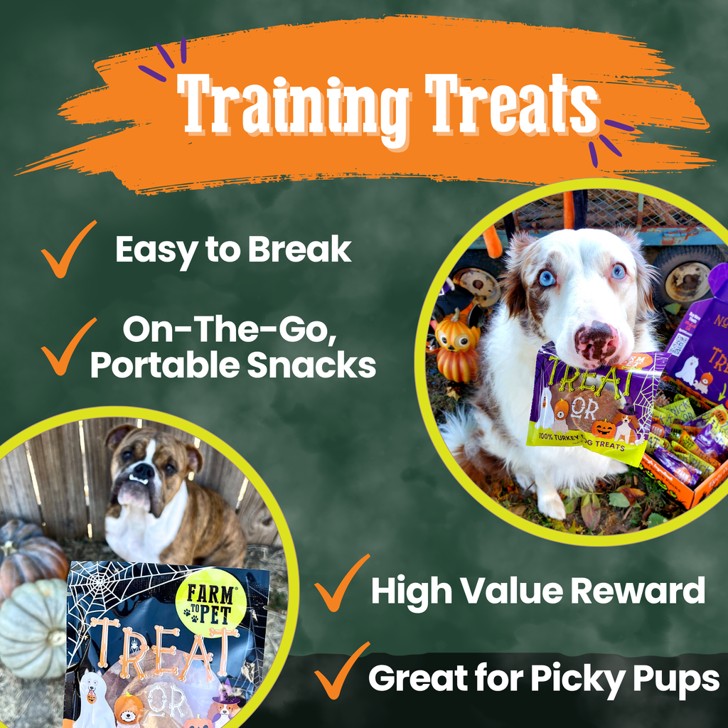 Halloween Dog Treat Snack Pack Bundle – detail