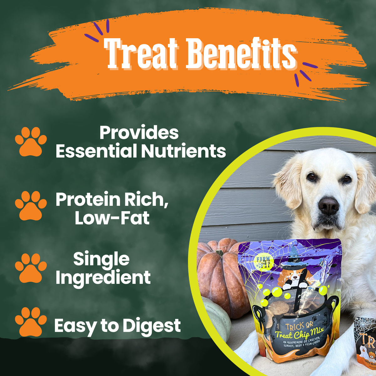 Trick or Treat Chip Mix Halloween Dog Treats – detail