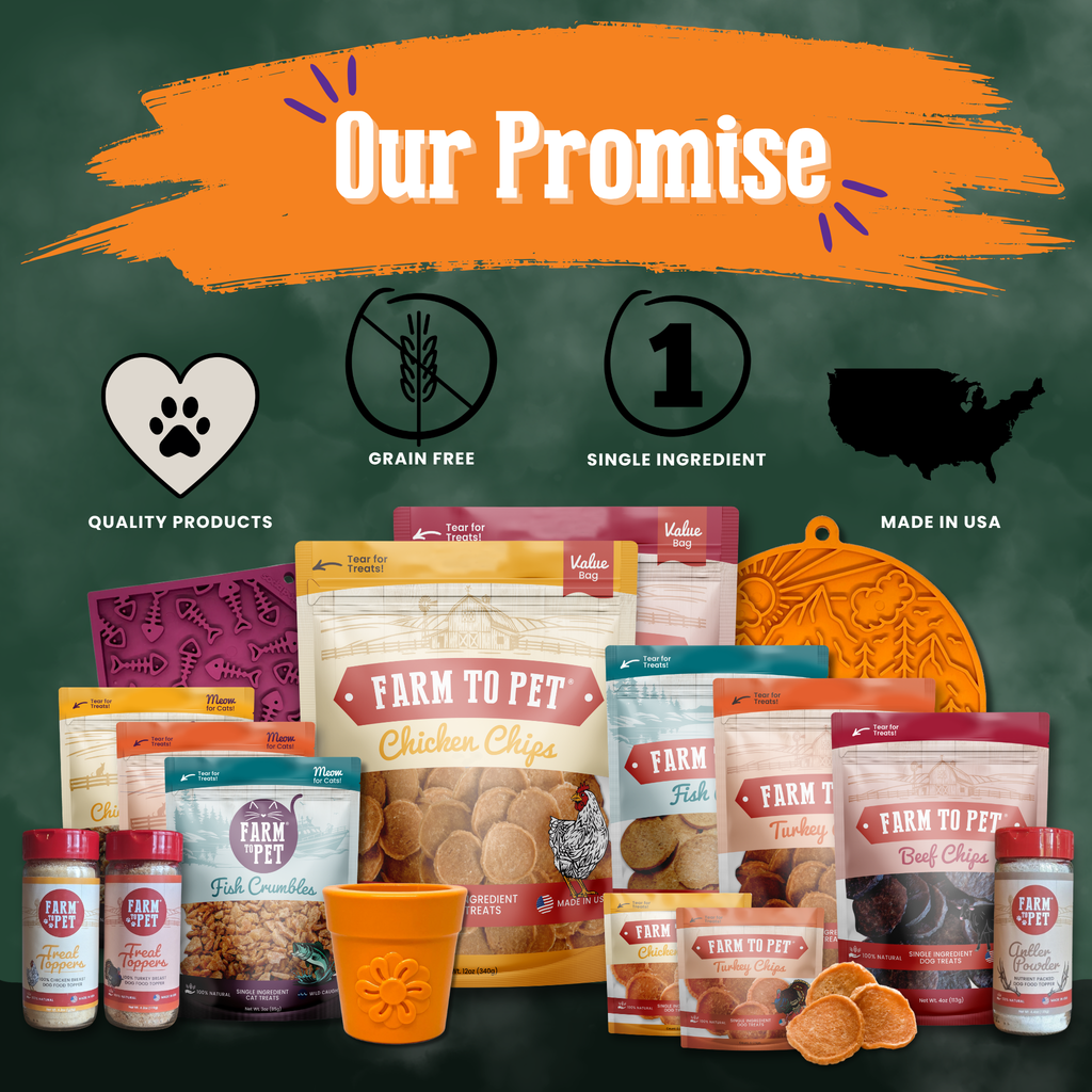 Halloween Dog Treat Snack Pack Bundle – detail