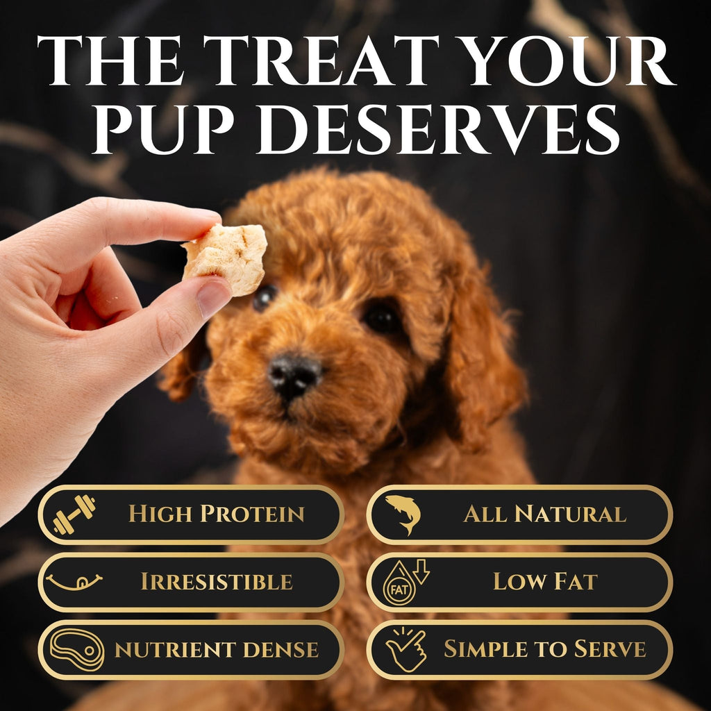 Freeze-Dried Alaskan Whitefish Dog Treats – alternate view 6