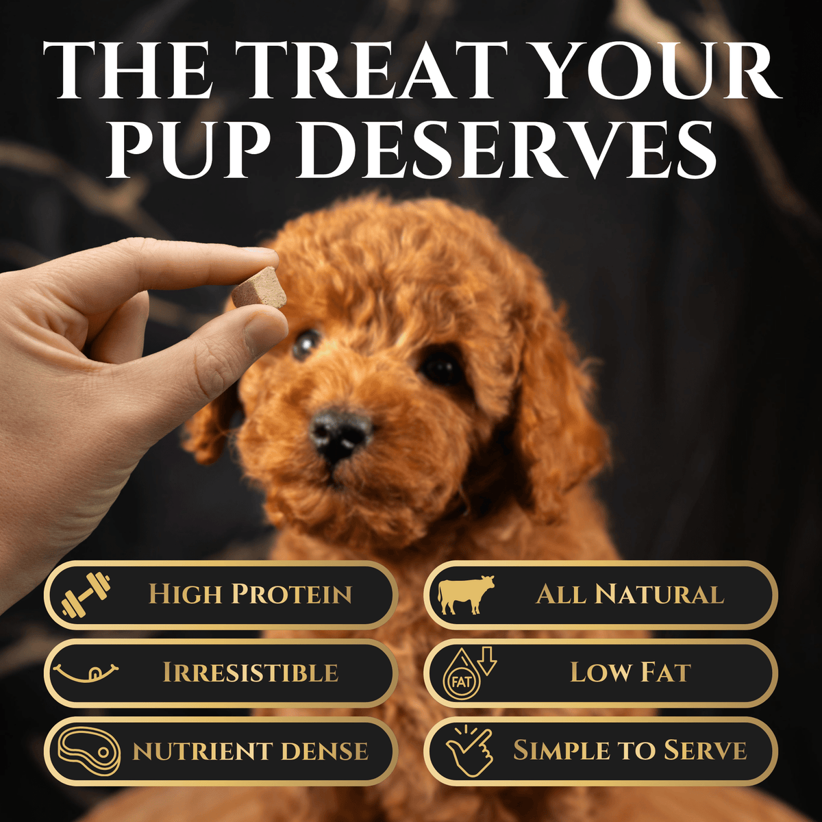 Freeze-Dried Beef Liver Dog Treats – alternate view 6