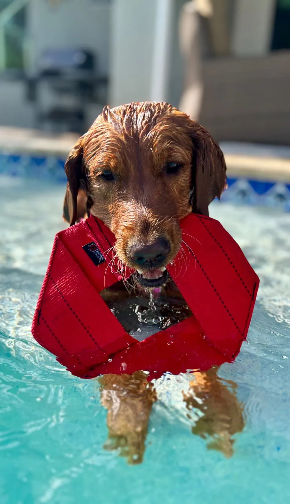 Fire Hose Dog Frisbee – Handmade in the USA – alternate view 11
