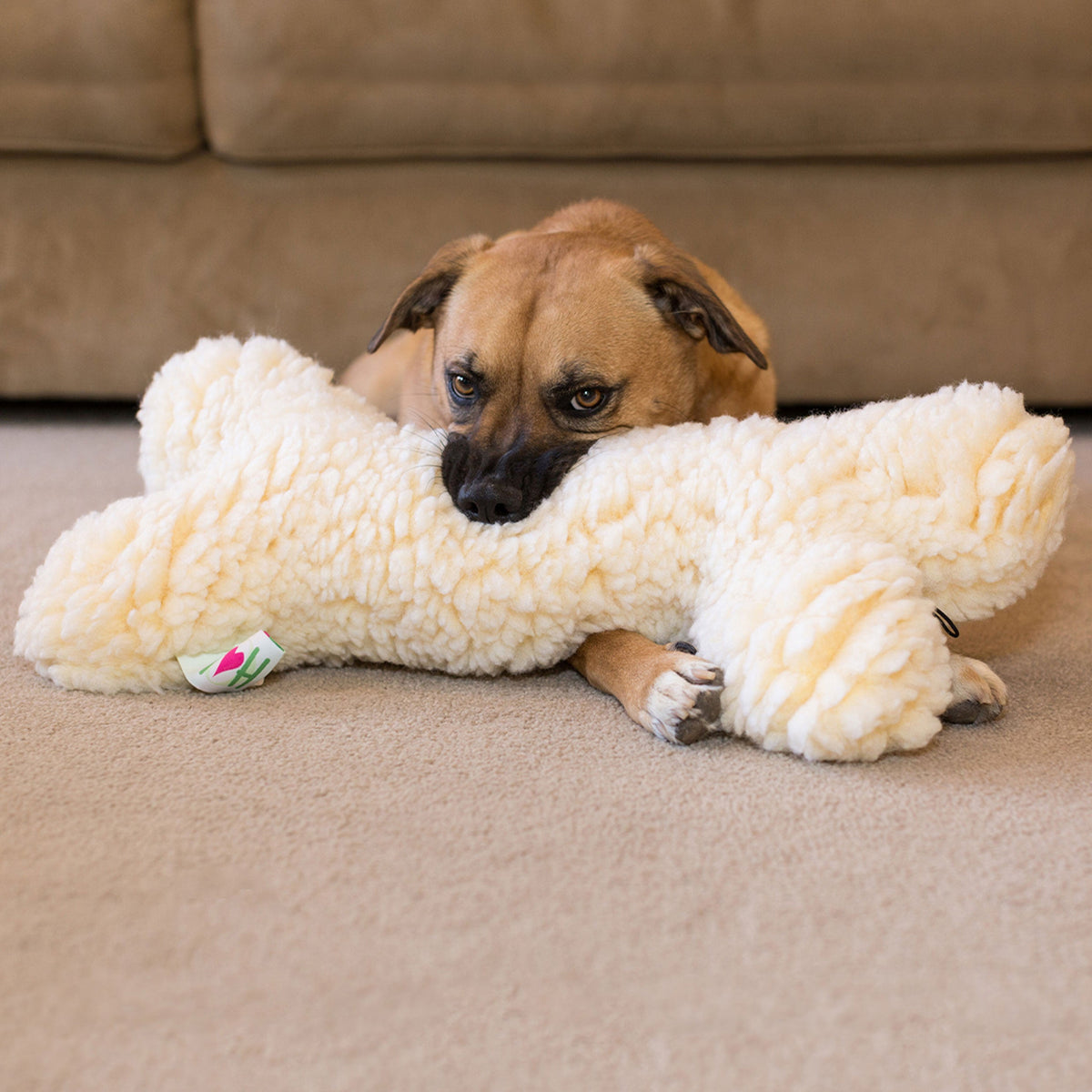 HuggleFleece 2 Plush Bone Dog Toy, back view