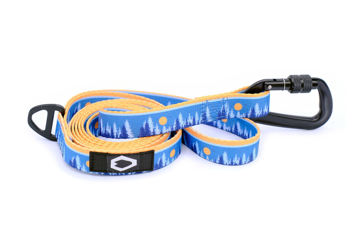 Outdoor Style Nylon Dog Leash – alternate view 3