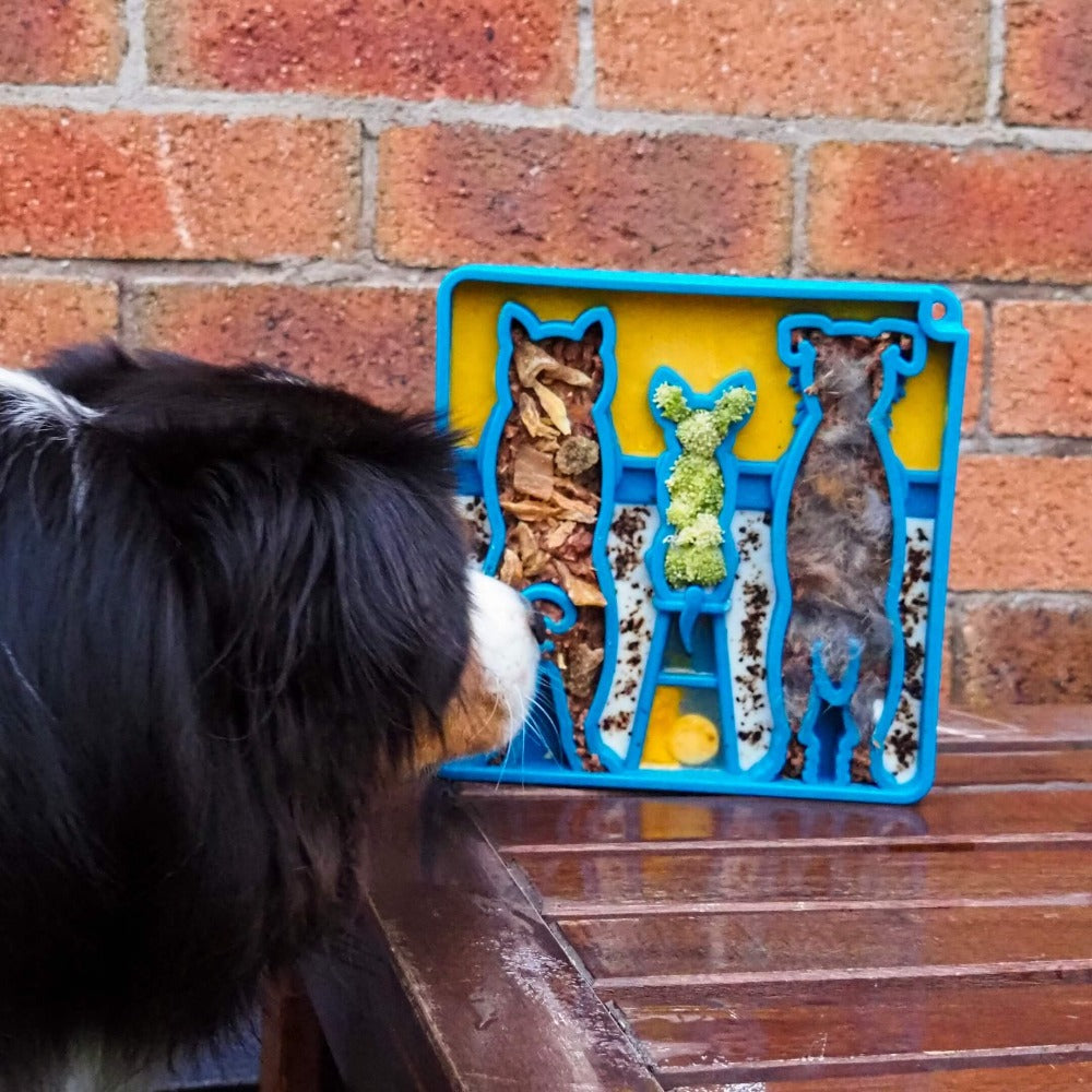 SodaPup Waiting Dogs eTray – Slow Feeder Bowl – alternate view 10