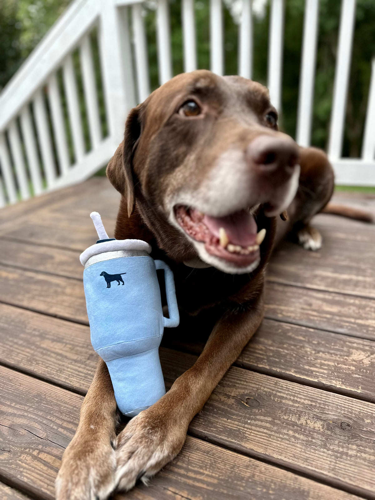 Puproar Pup Cup Squeaky Plush Dog Toy – Tumbler Shape – alternate view 7