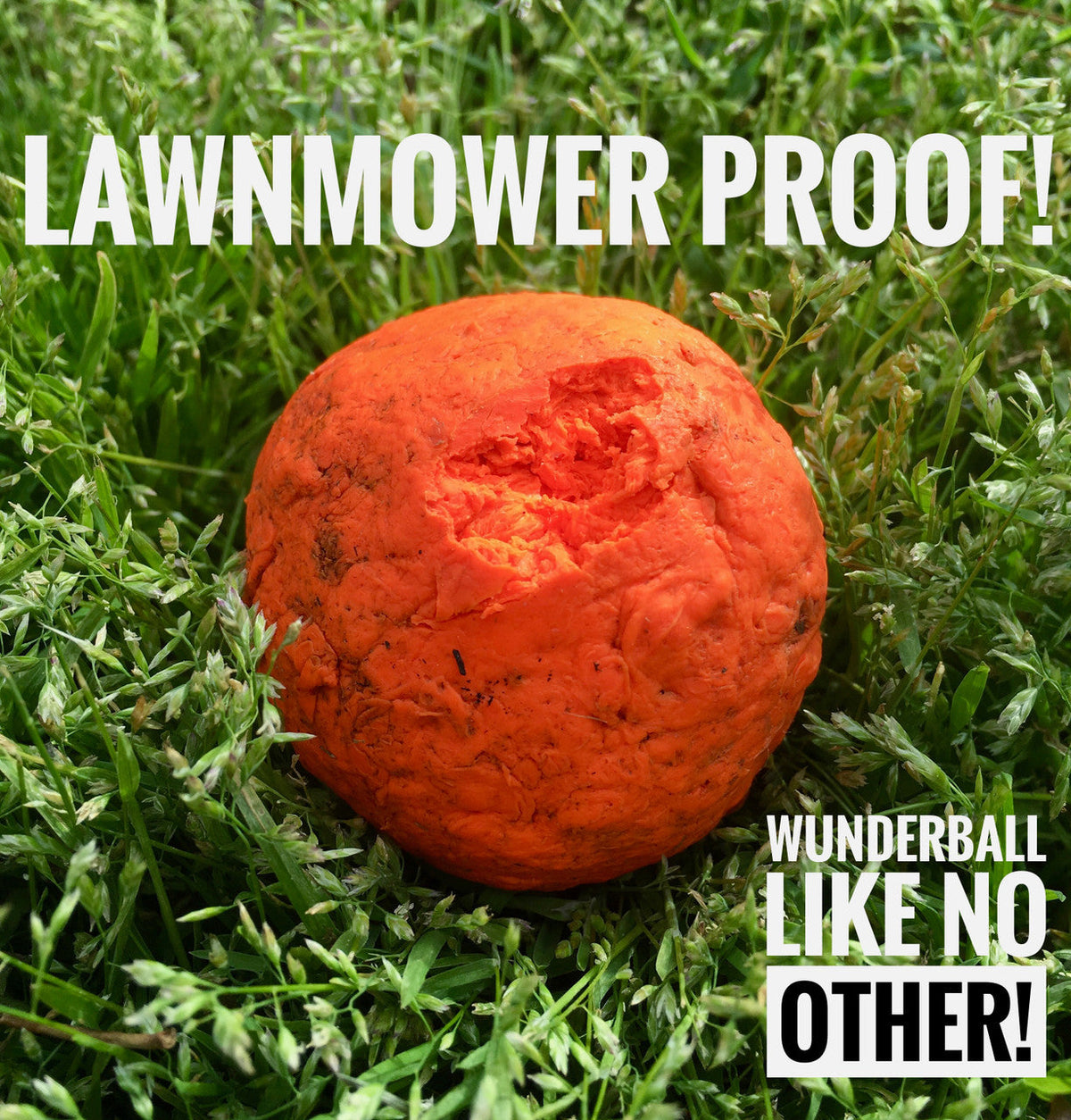 WUNDERball Dog Fetch Toy – alternate view 9