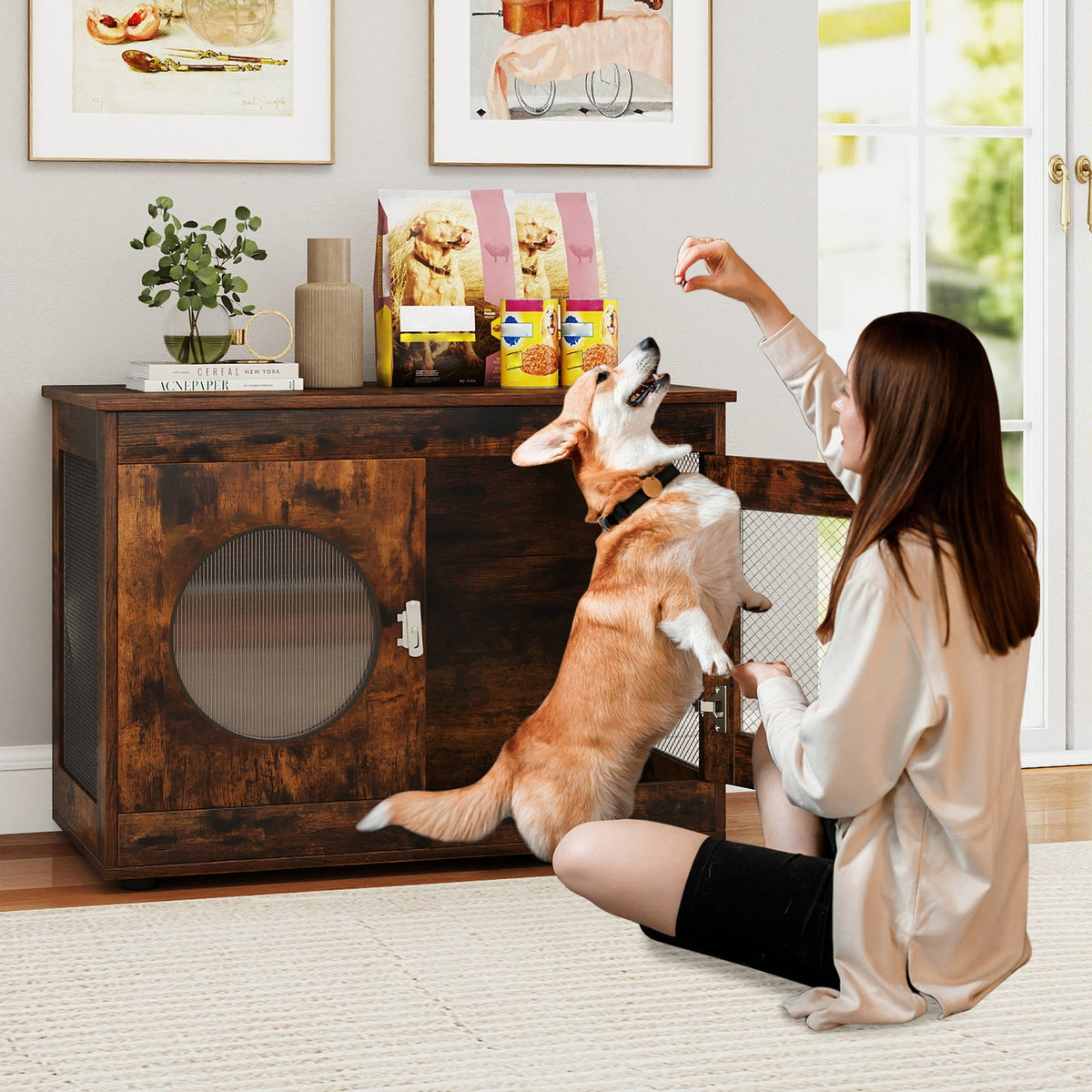 Furniture-Style Dog Crate with Translucent Window Rustic Brown – photo 2 of 8