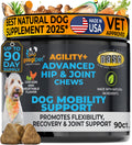 Googipet Agility+ Advanced Hip and Joint Chews for Dogs jar, front label, chicken and vegetable flavor, 90 count