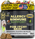 Allergy & Immune Support Chews for Dogs (Coconut & Carob Flavor) – front view