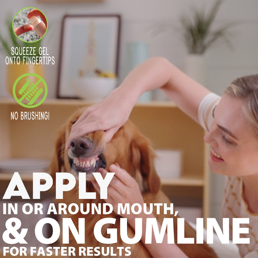 Adore Pet oral care gel for dogs salmon flavor – photo 3 of 7