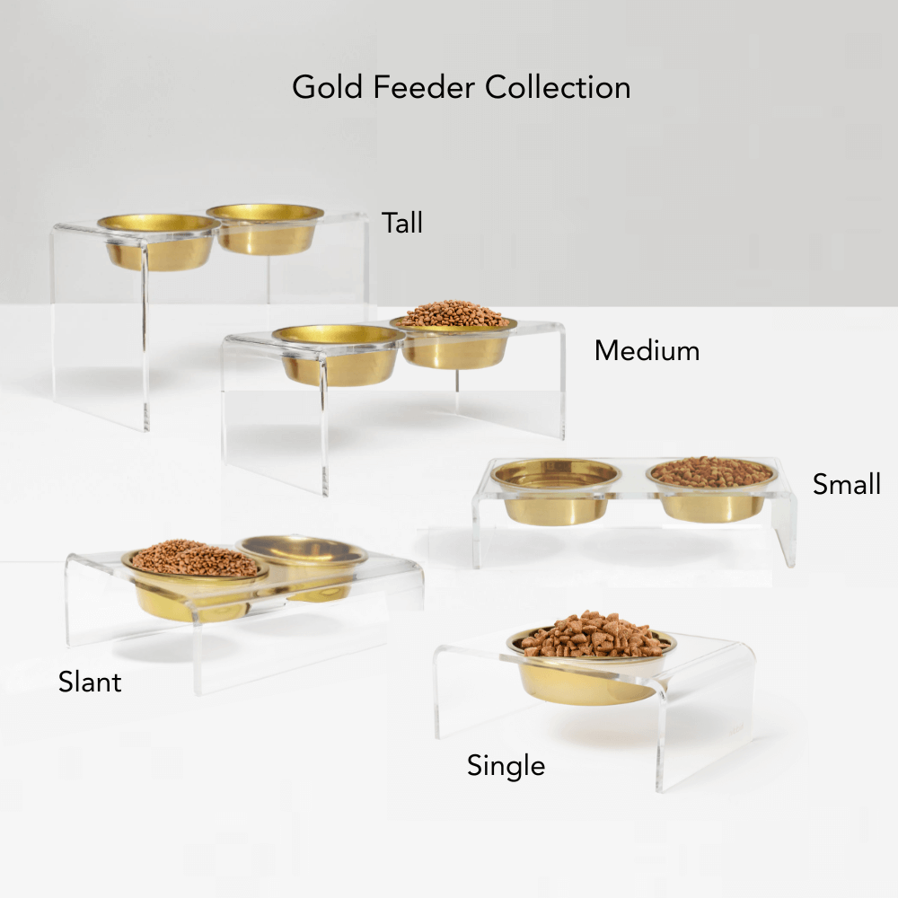 Hiddin Small Gold Feeder – Lucite Stand with Stainless Steel Bowls – alternate view 17