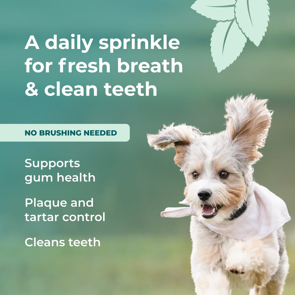Fresh Breath Dental Powder for Dogs – alternate view 4