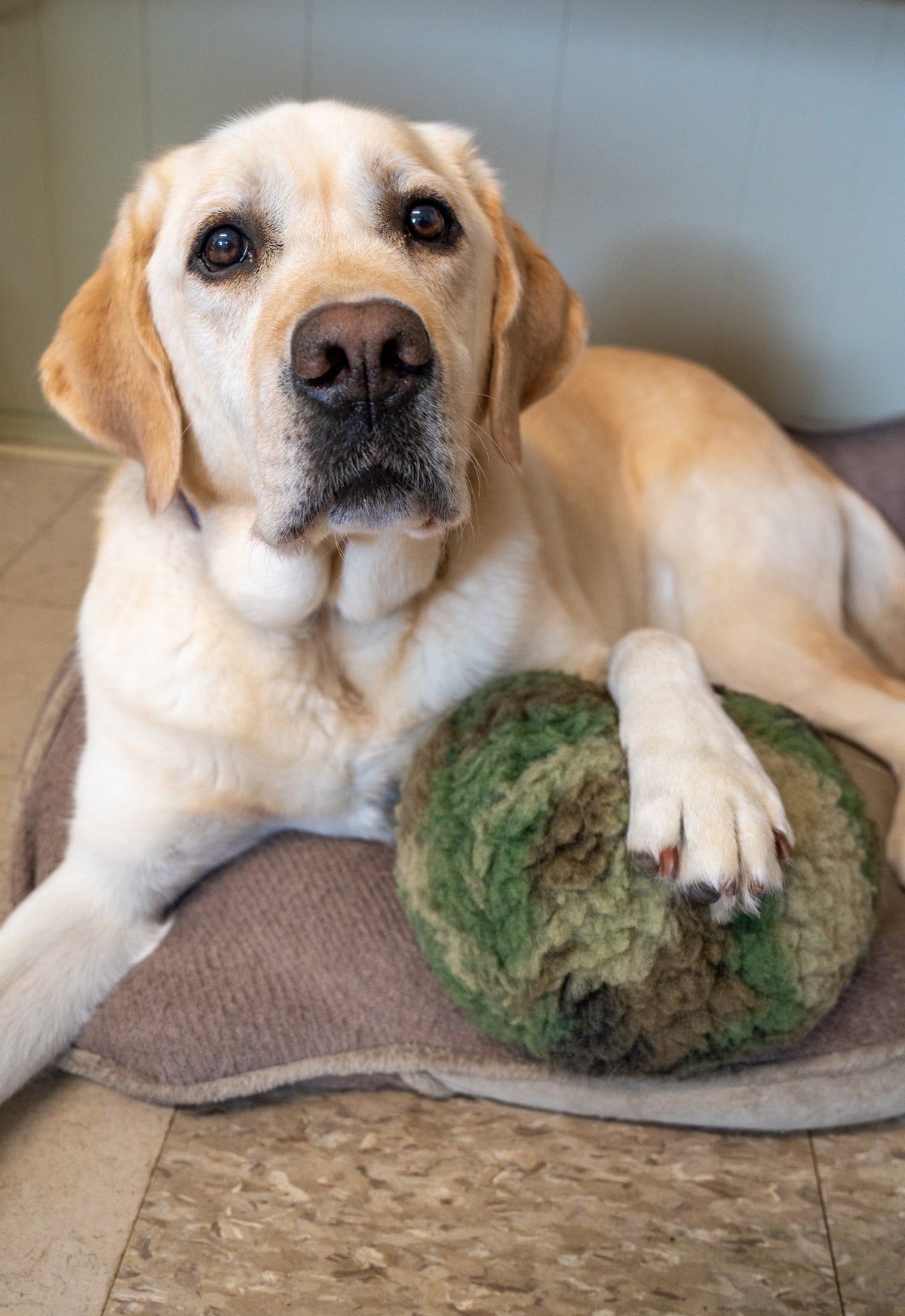 HuggleCause Warrior Canine Connection Camouflage HuggleFleece Plush Ba, alternate view