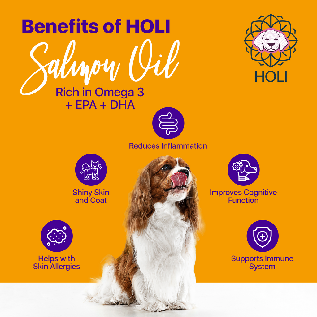HOLI extra virgin Icelandic salmon oil bottle for dogs – photo 2 of 7