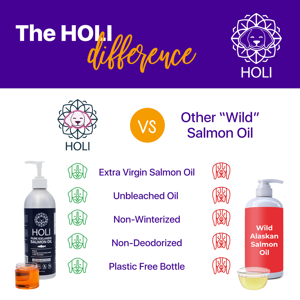 HOLI extra virgin Icelandic salmon oil bottle for dogs – photo 5 of 7