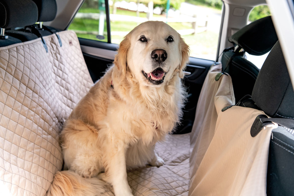 TuffutLuxx Vehicle Protectors for Travel, close-up