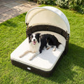 Rattan Pet Daybed with Adjustable Canopy – photo 1 of 8