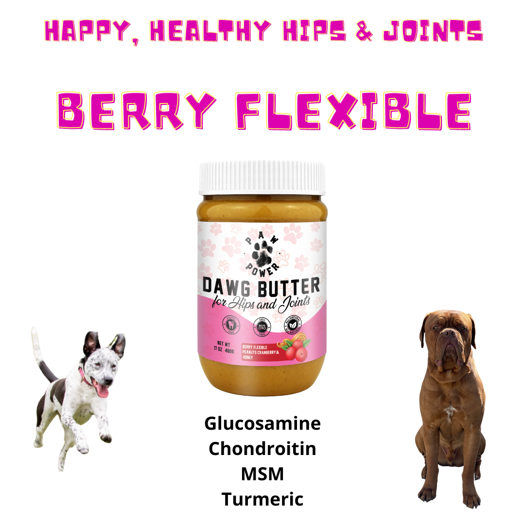 Dawg Butter Berry Flexible Peanut Butter for Dogs – Hip & Joint Support – alternate view 4
