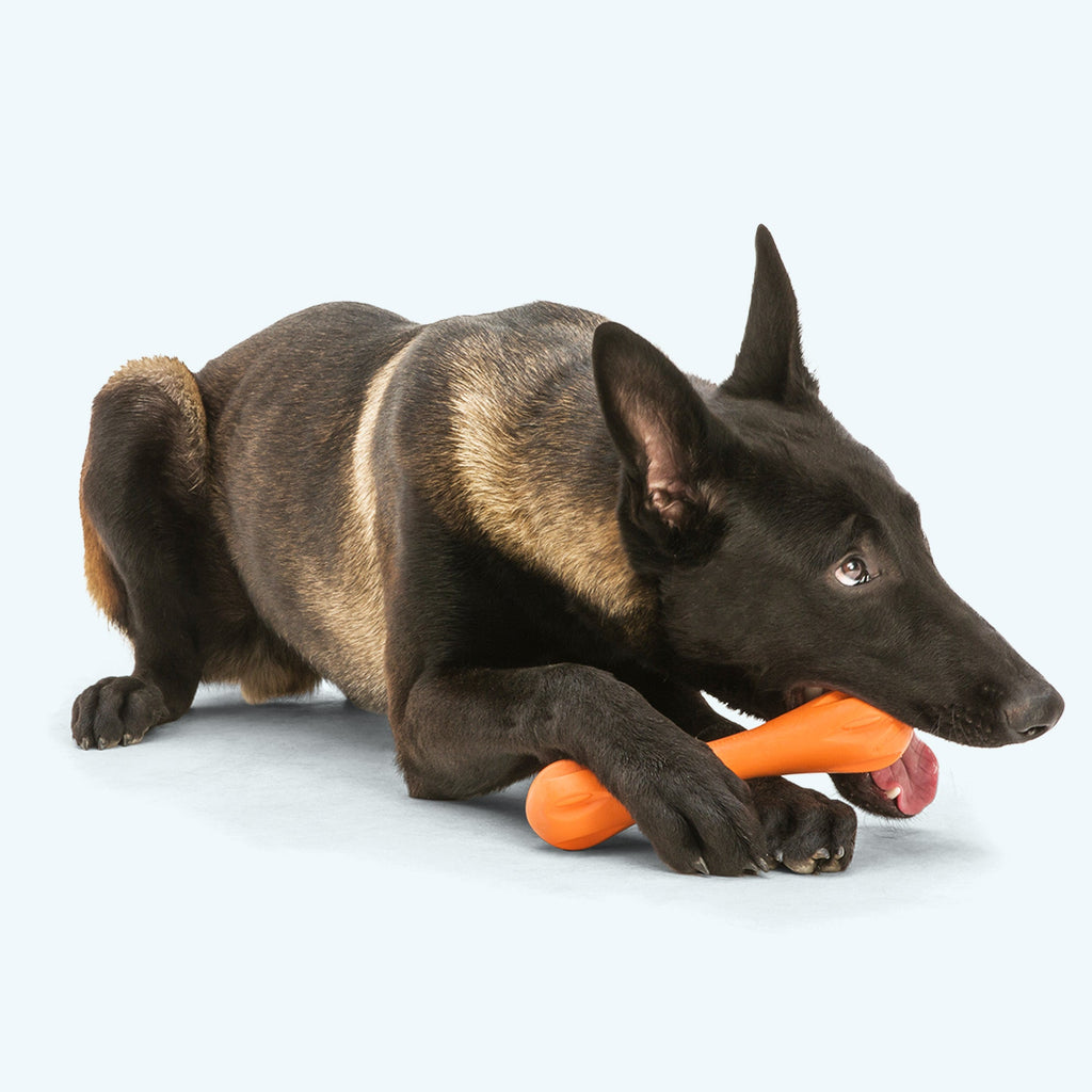 Hurley Dog Chew Toy – Durable – alternate view 3