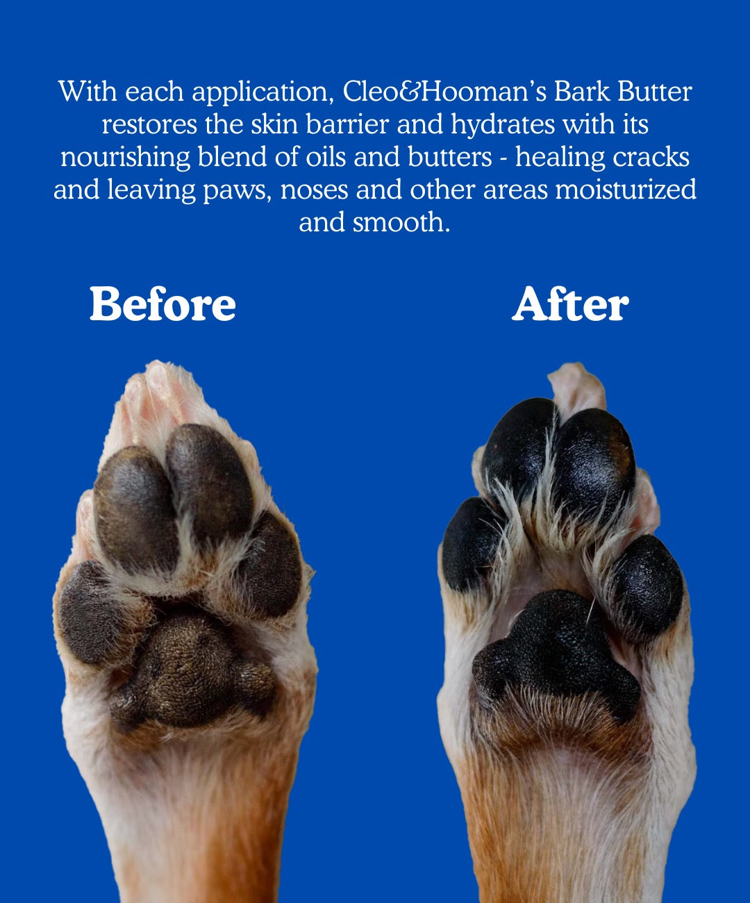 Bark Butter Paw Care Balm for Dogs – alternate view 4
