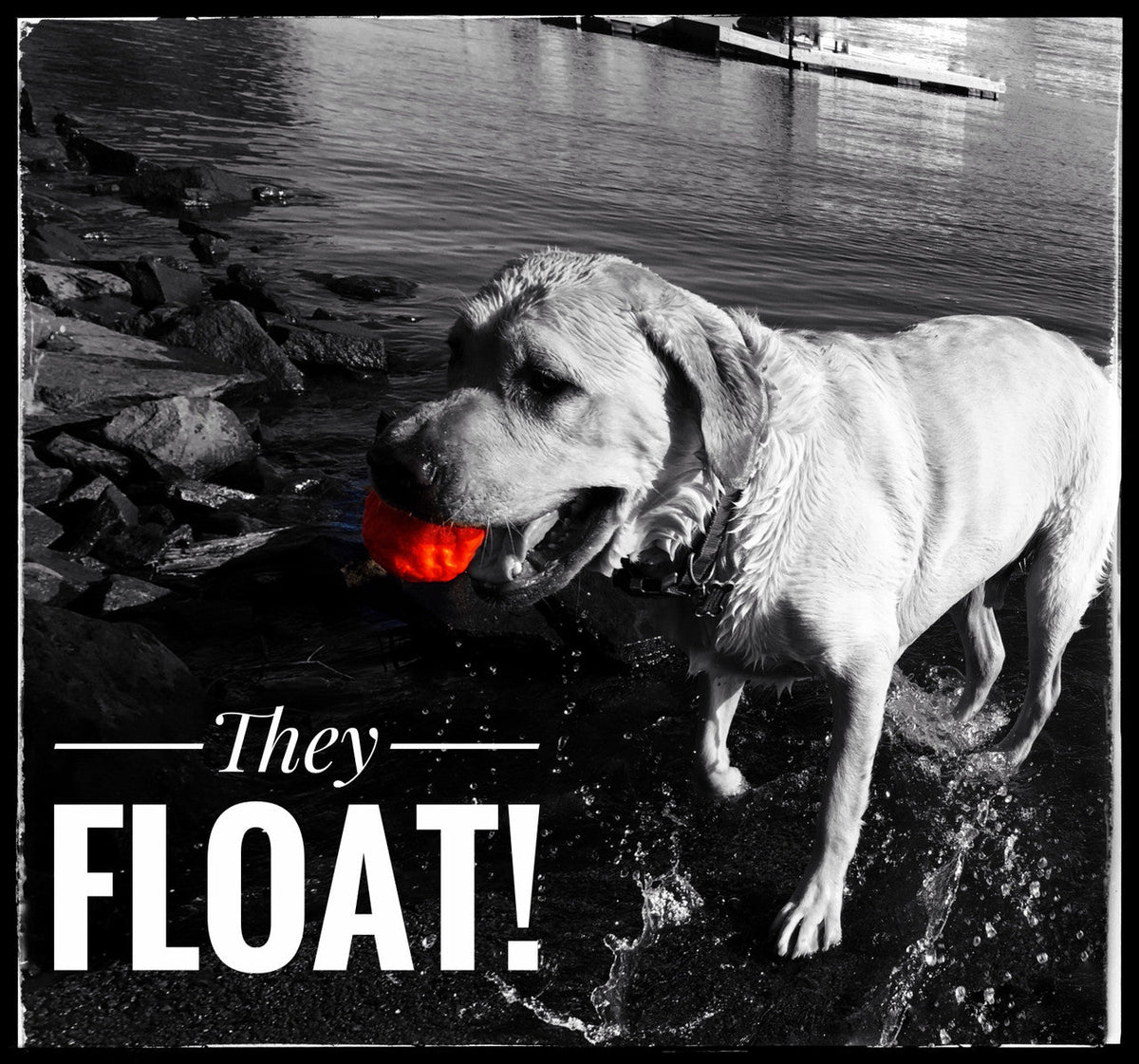 WUNDERball Dog Fetch Toy – alternate view 8
