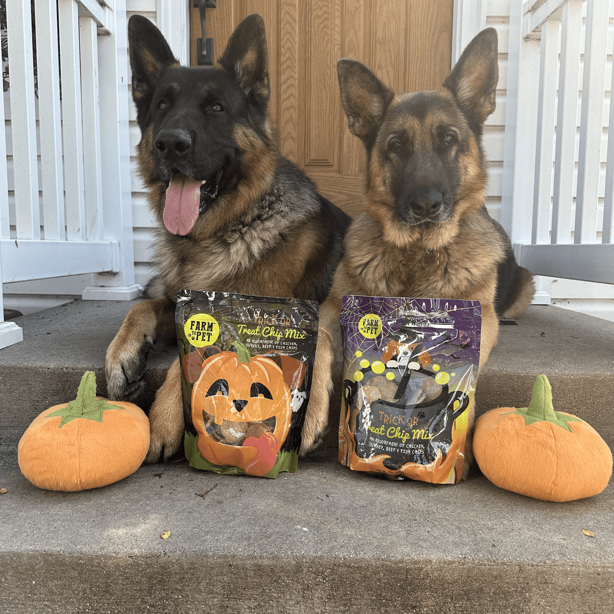 Trick or Treat Chip Mix Halloween Dog Treats – alternate view 12
