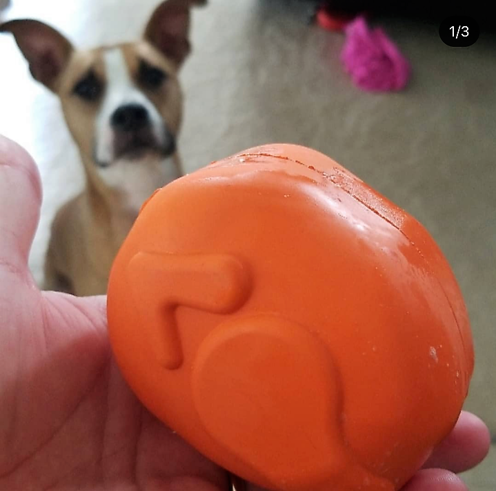 SodaPup Roasted Turkey orange rubber treat dispenser dog toy – photo 10 of 10