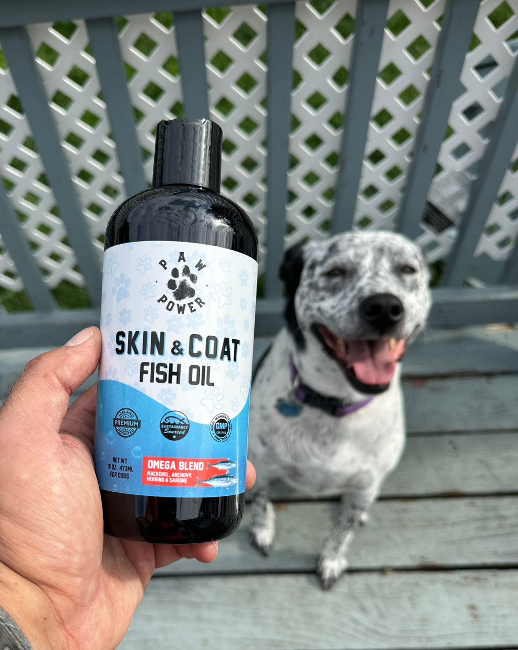 Dawg Health skin and coat fish oil pump bottle 16 oz – photo 2 of 4