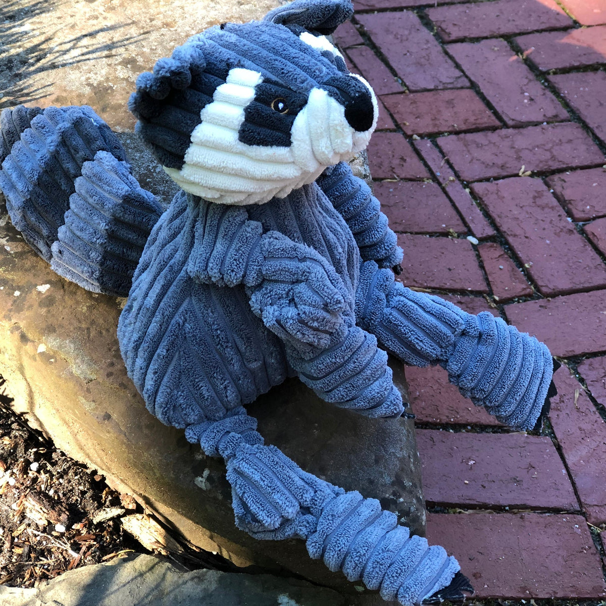 Reggie Raccoon Knottie Plush Dog Toy, packaging
