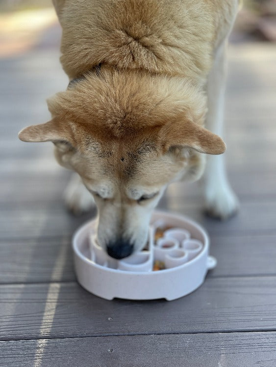 SodaPup Java eBowl – Deep Slow Feeder Dog Bowl – alternate view 8