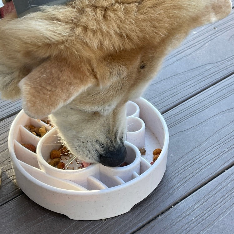 SodaPup Java eBowl – Deep Slow Feeder Dog Bowl – alternate view 7