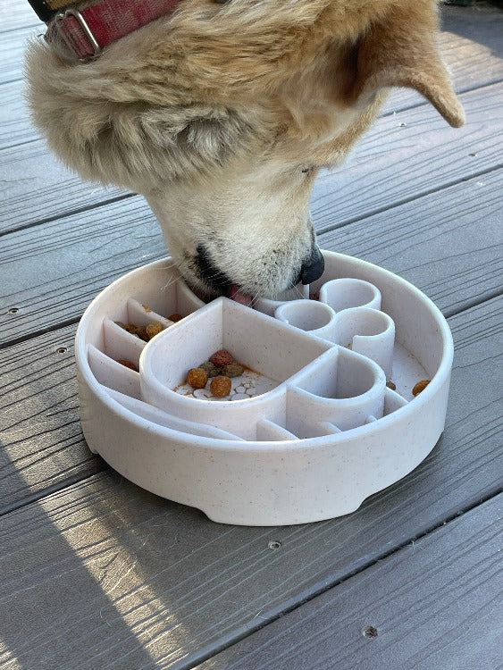 SodaPup Java eBowl – Deep Slow Feeder Dog Bowl – alternate view 9
