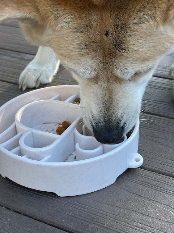 SodaPup Java eBowl – Deep Slow Feeder Dog Bowl – alternate view 10