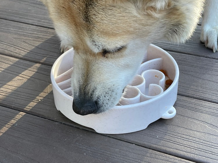 SodaPup Java eBowl – Deep Slow Feeder Dog Bowl – alternate view 11