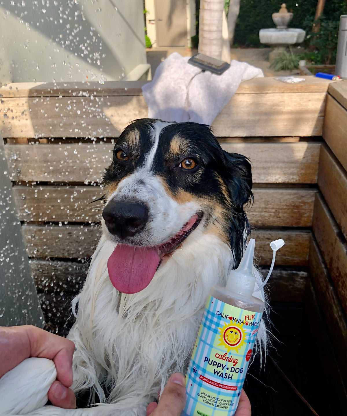 Calming™ Puppy + Dog Wash – alternate view 3