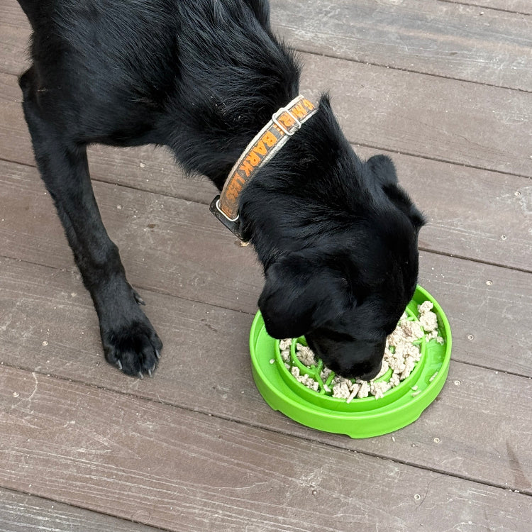 SodaPup Garden eTray – Shallow Slow Feeder Bowl – alternate view 7