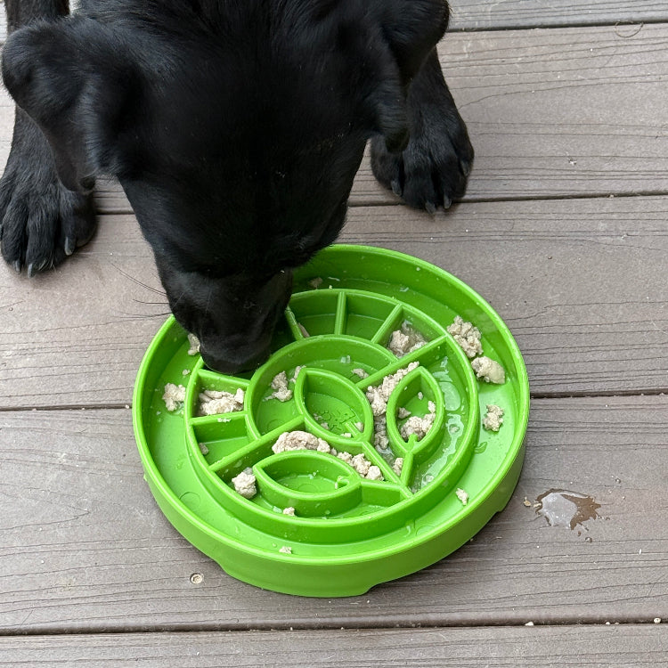 SodaPup Garden eTray – Shallow Slow Feeder Bowl – alternate view 8