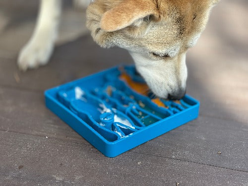 SodaPup Waiting Dogs eTray – Slow Feeder Bowl – alternate view 7