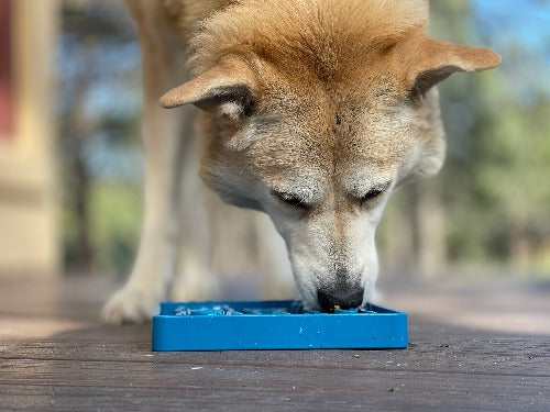 SodaPup Waiting Dogs eTray – Slow Feeder Bowl – alternate view 9