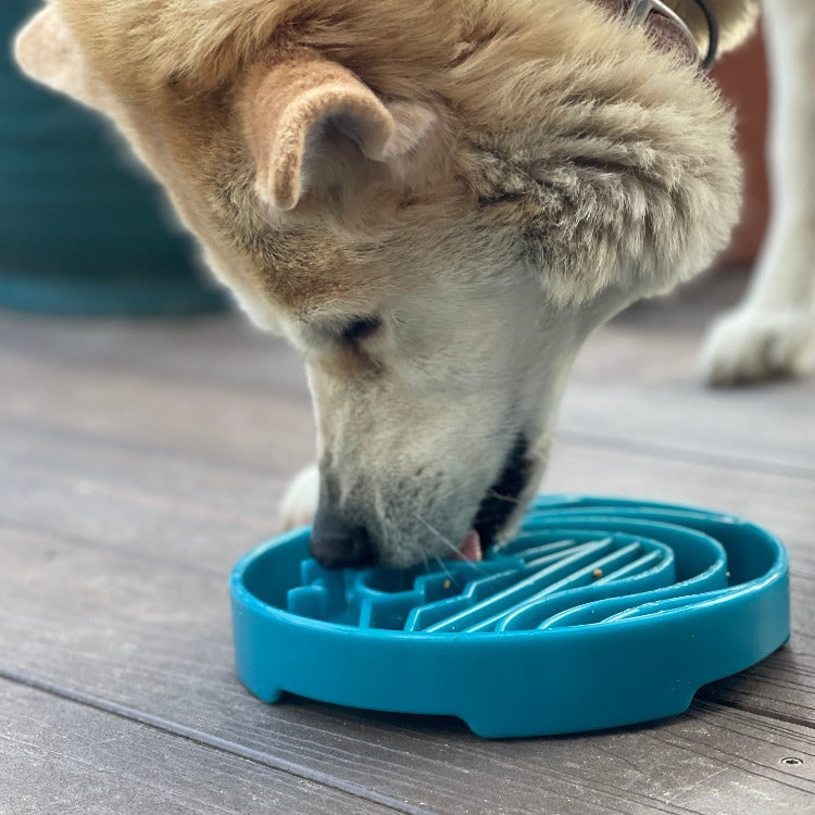 SodaPup Baja eTray – Shallow Slow Feeder Dog Bowl, USA Made – alternate view 8