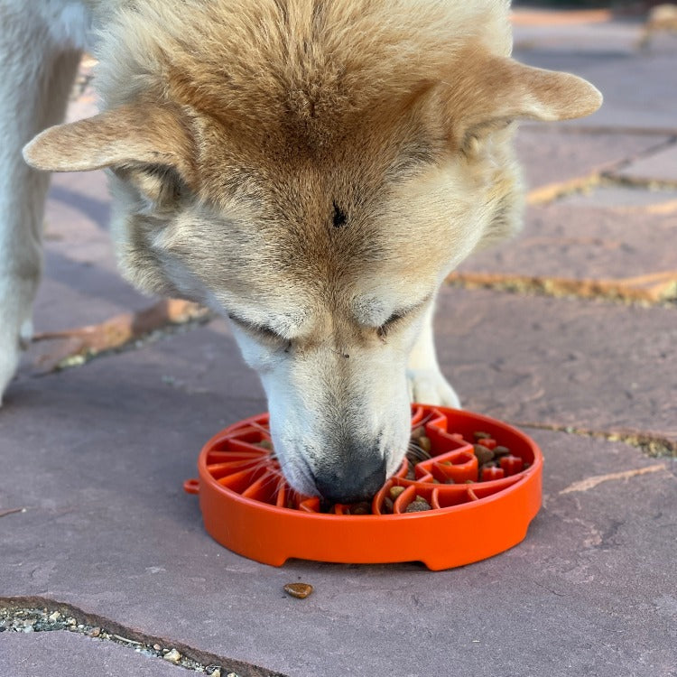 Sun and Moon Shallow Slow Feeder Dog Bowl – Enrichment, USA Made – alternate view 7
