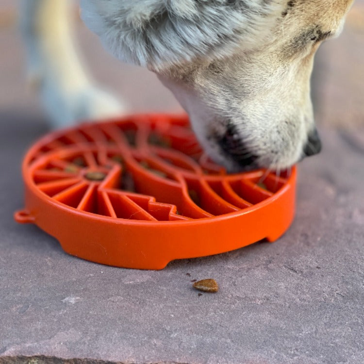 Sun and Moon Shallow Slow Feeder Dog Bowl – Enrichment, USA Made – alternate view 8
