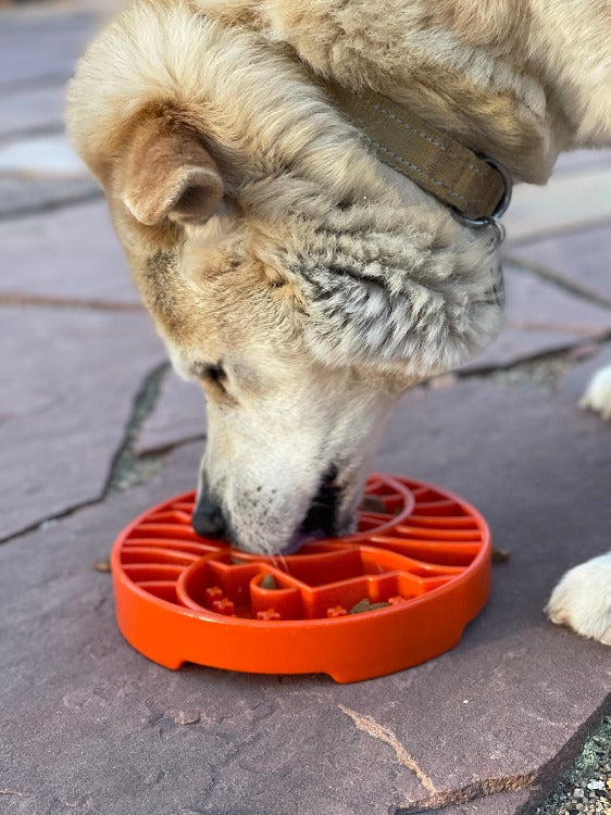 Sun and Moon Shallow Slow Feeder Dog Bowl – Enrichment, USA Made – alternate view 11