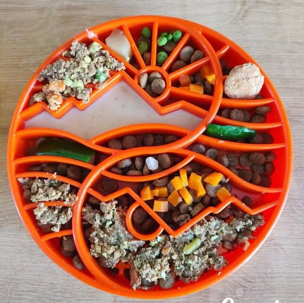 Sun and Moon Shallow Slow Feeder Dog Bowl – Enrichment, USA Made – alternate view 2