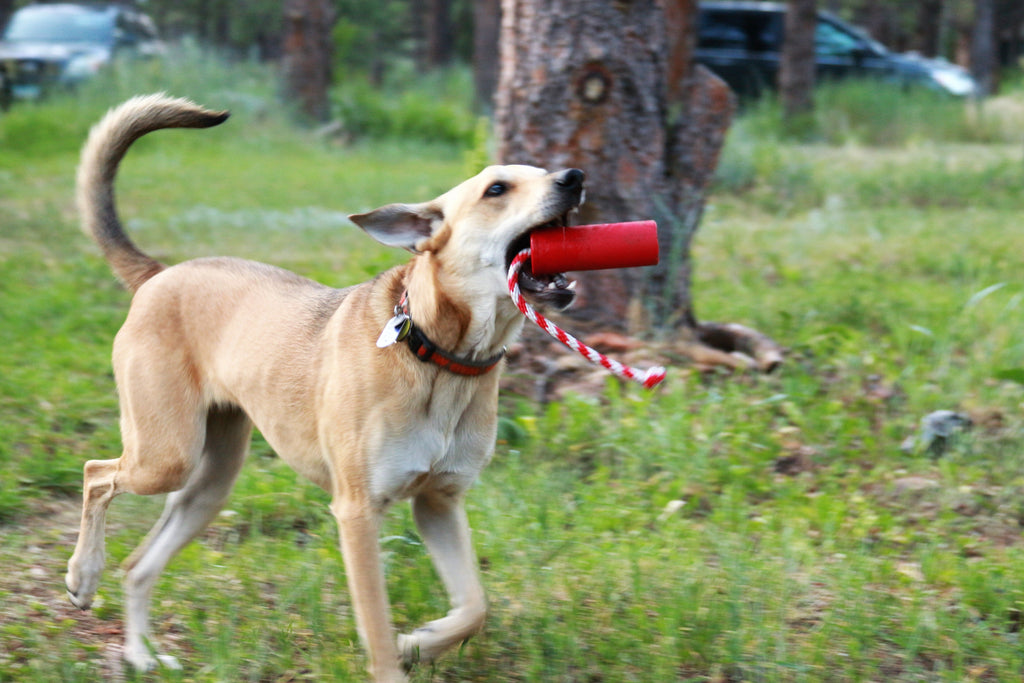 USA-K9 Firecracker red floating rubber training dummy dog toy – photo 13 of 15