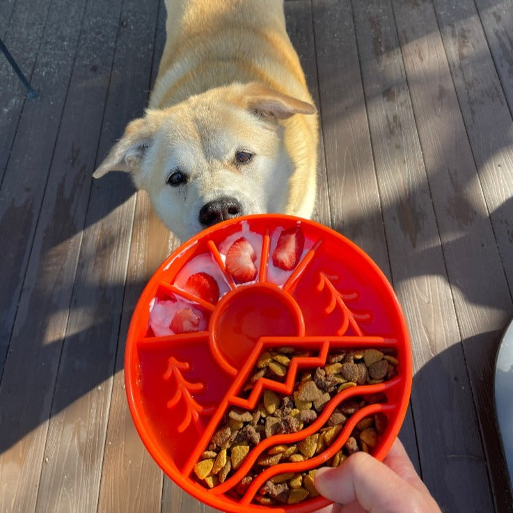 Great Outdoors Slow Feeder Dog Bowl – Enrichment, USA Made – alternate view 13