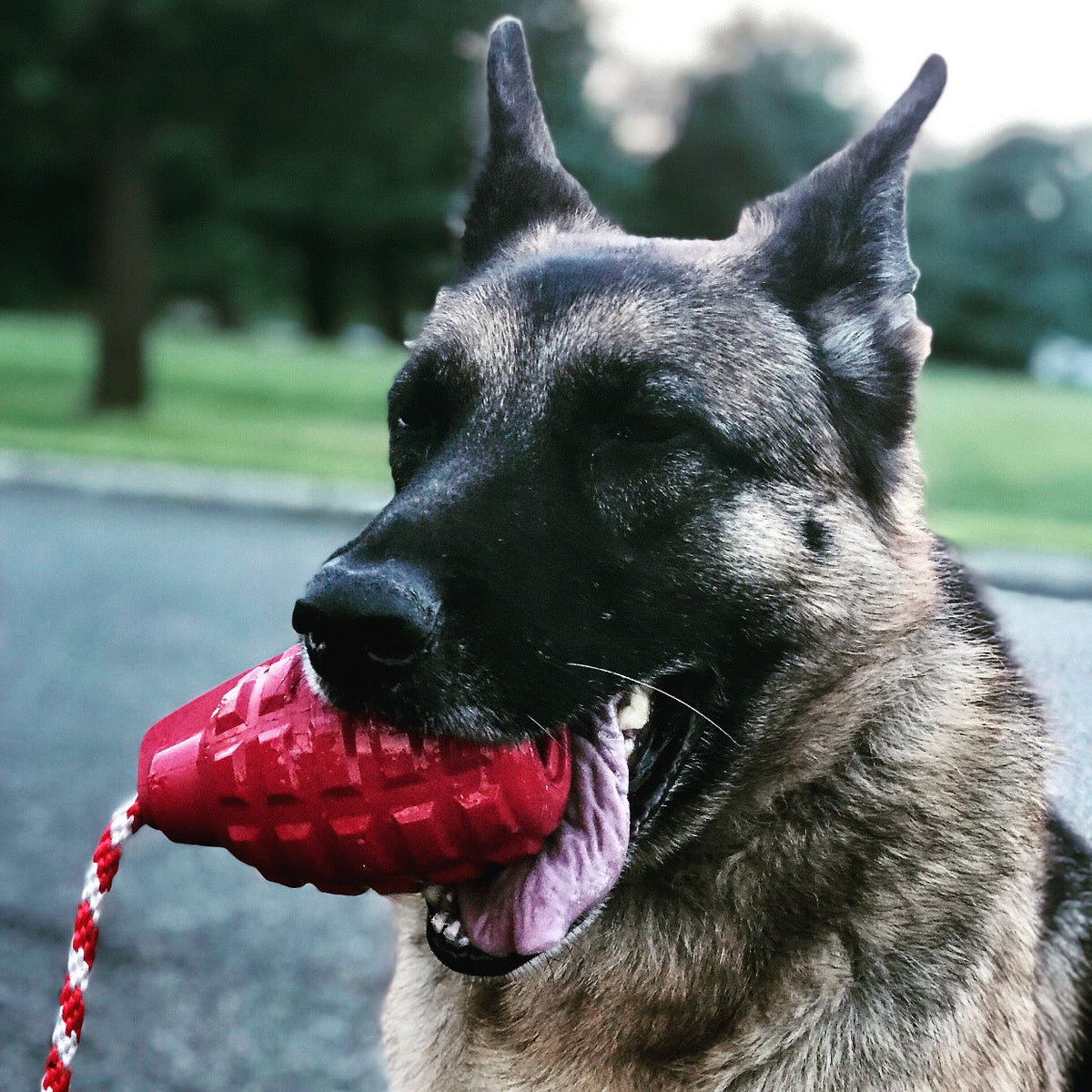 USA-K9 Grenade red rubber reward toy for dogs – photo 8 of 8