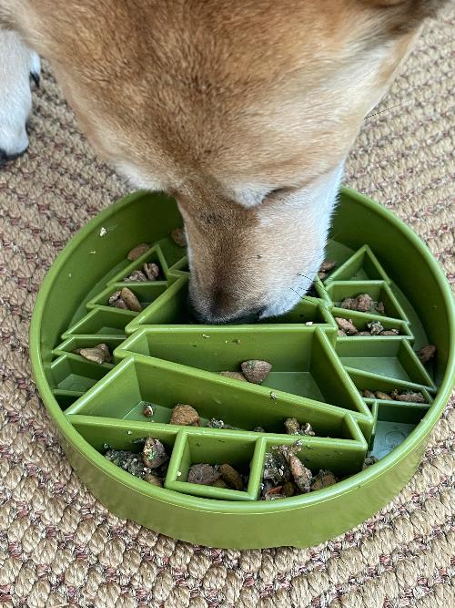 SodaPup Pine Tree eBowl – Deep Slow Feeder Bowl – alternate view 8